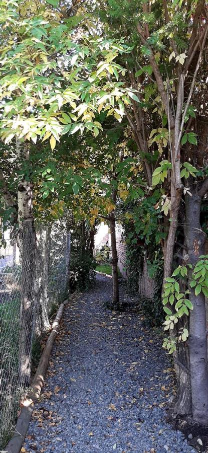 Casitas 1 Holiday home San Martin de los Andes