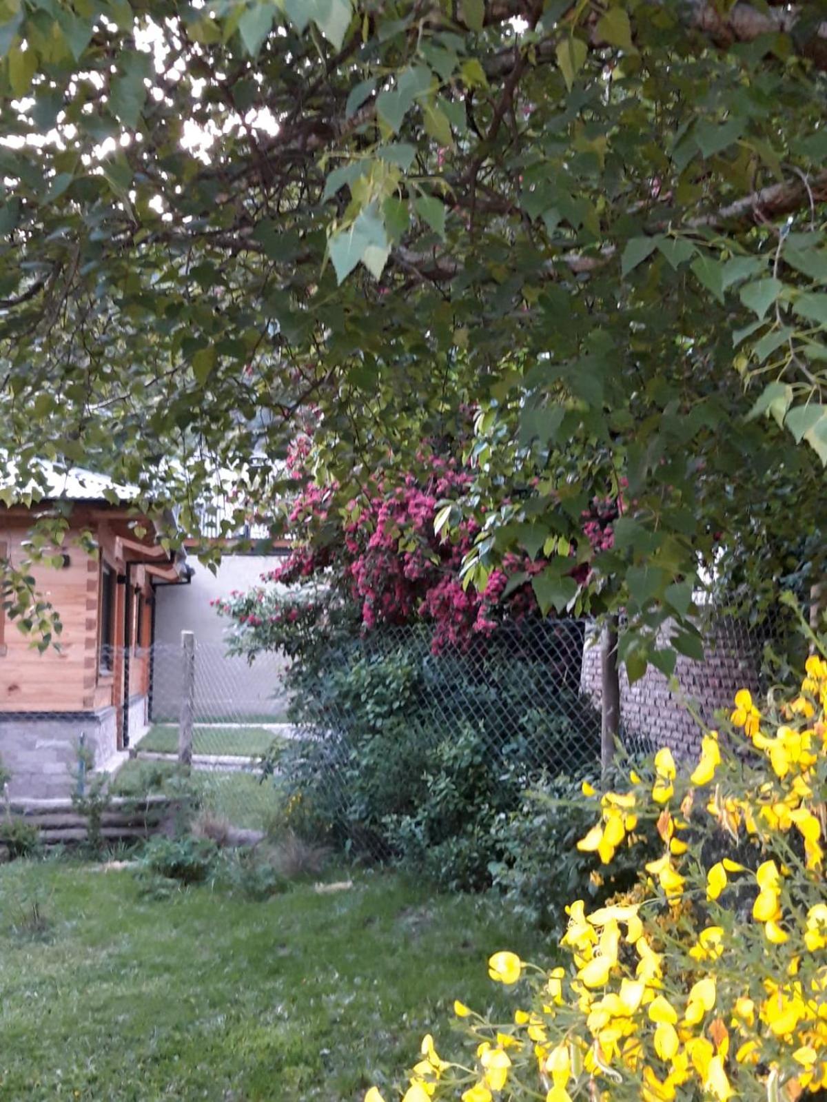 Casitas 1 San Martin de los Andes