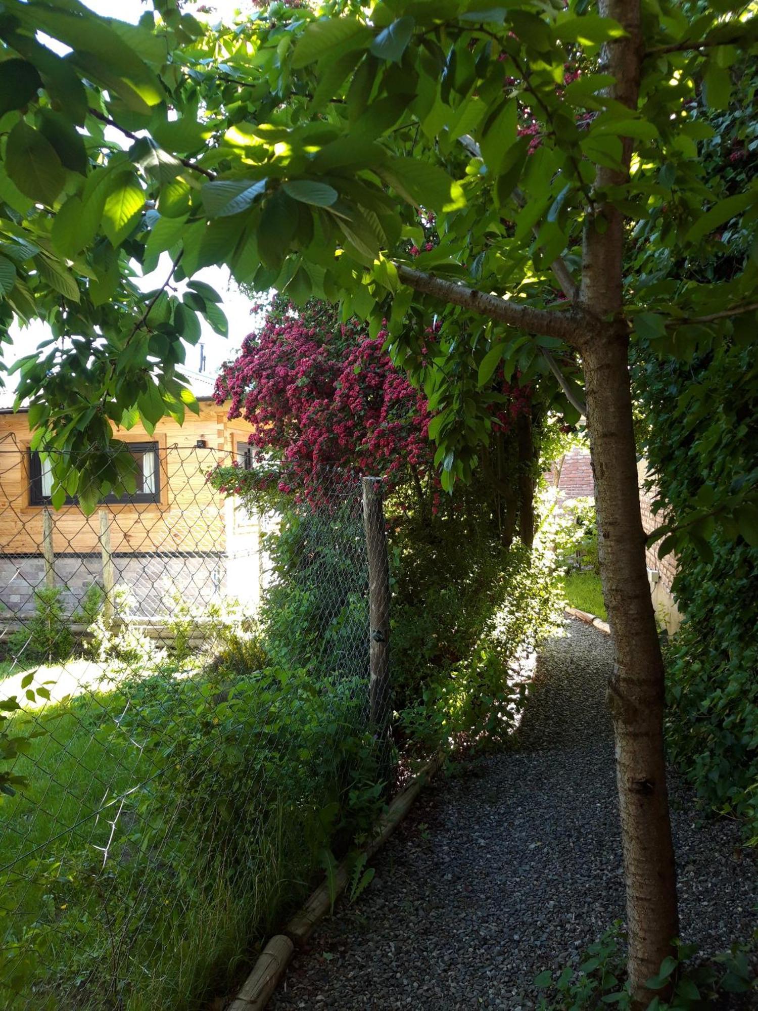 Casitas 1 San Martin de los Andes