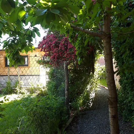 Las Casitas 1 San Martin de los Andes Exterior photo